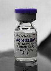 Adrenaline (Epinephrine): The Fight or Flight Hormone 1 adrenaline