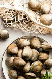 Clams 1 clams