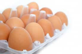 eggs