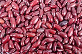 Kidney Beans 1 kidney beans