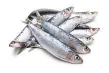 Sardines 1 sardines