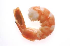 Shrimp 1 shrimp