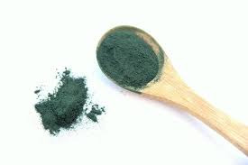 Spirulina 1 spirulina