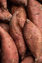 Sweet Potatoes: Nutrition Facts, Health Benefits, and the Most Vitamin A-Dense Common Vegetable 1 sweet potatoes