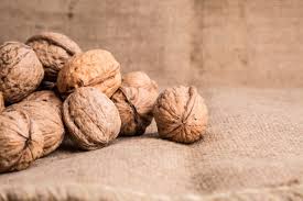 Walnuts 1 walnuts