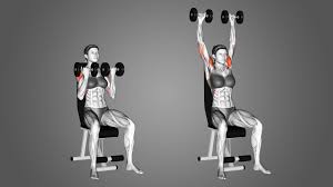 Arnold press