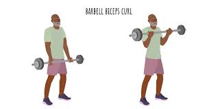 Barbell Curl: How To, Muscles Worked & Common Mistakes 1 Barbell Curl