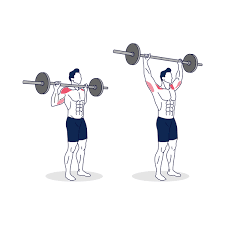 Barbell Shoulder Press: How To, Muscles Worked & Common Mistakes 1 Barbell-Shoulder-Press
