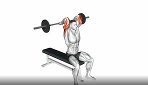 Barbell Triceps Extension: How To, Muscles Worked & Common Mistakes 1 Barbell Triceps Extension