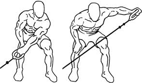 Bent-Over Low-Pulley Raise