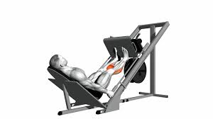 Calf Raises on Leg Press Machine: How To, Muscles Worked & Common Mistakes 1 Calf Raises on Leg Press Machine