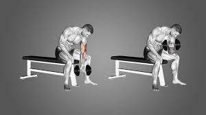 Concentration Curls: How To, Muscles Worked & Common Mistakes 1 Concentration Curls