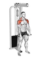 Front Cable Raise