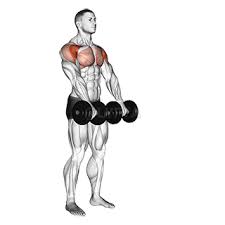 Front Dumbbell Raise: How To, Muscles Worked & Common Mistakes 1 Front Dumbbell Raise