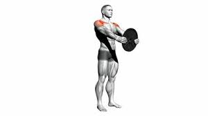 Front Plate Raise: How To, Muscles Worked & Common Mistakes 1 Front Plate Raise