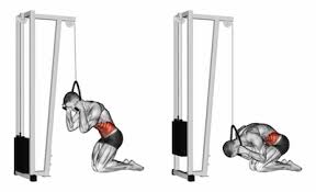 Kneeling Cable Crunch: How To, Muscles Worked & Common Mistakes 1 Kneeling Cable Crunch