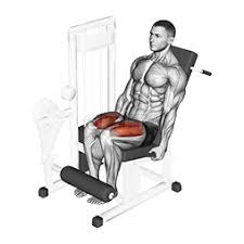 Leg Extensions: How To, Muscles Worked & Common Mistakes 1 Leg Extensions