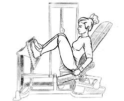 Leg Press