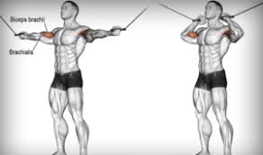 Overhead Cable Curl: How To, Muscles Worked & Common Mistakes 1 Overhead Cable Curl