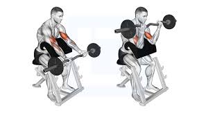 Preacher Curl EZ Bar: How To, Muscles Worked & Common Mistakes 1 Preacher Curl EZ Bar