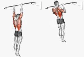 Pull-ups: How To, Muscles Worked & Common Mistakes 1 Pull-ups