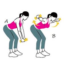 Reverse Fly: How To, Muscles Worked & Common MistakesReverse Fly 1 Reverse Fly