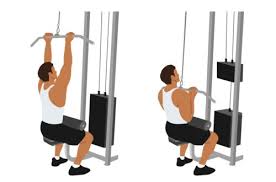 Reverse Grip Lat Pulldown: How To, Muscles Worked & Common Mistakes 1 Reverse-Grip-Lat-Pulldown