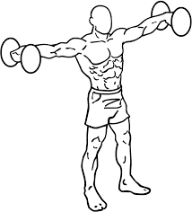 Side Lateral Raise: How To, Muscles Worked & Common Mistakes 1 Side Lateral Raise