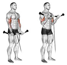 Standing Biceps Cable Curl: How To, Muscles Worked & Common Mistakes 1 Standing Biceps Cable Curl
