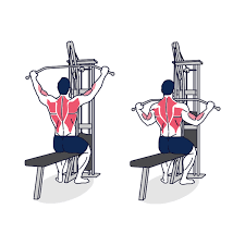 Wide-Grip Lat Pulldown: How To, Muscles Worked & Common Mistakes 1 Wide-Grip-Lat-Pulldown