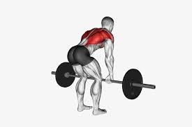 Bent-Over Barbell Row: How To, Muscles Worked & Common Mistakes 1 bent-over barbell row