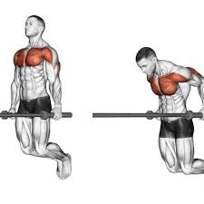 Chest Dips: How To, Muscles Worked & Common Mistakes 1 chest dips
