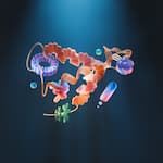 Enzymes: The Invisible Workers That Keep Your Body Running 1 Enzymes