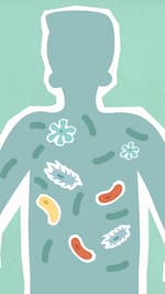 Gut Microbiome: The Hidden Organ That Shapes Your Health 1 Gut Microbiome