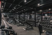 Push and pull workout