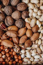 Plant-Based Protein