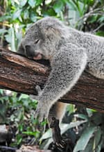 Why Sleep Is the Most Underrated Training Tool You Have 1 Sleep