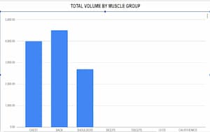Fitness Templates 3 Total Volume